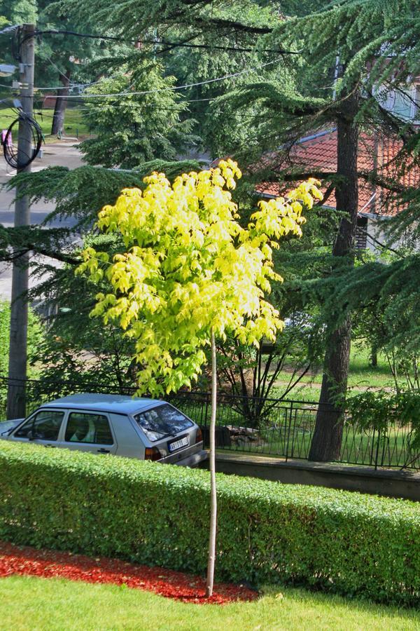 Apartmani15 Arandjelovac Exterior photo